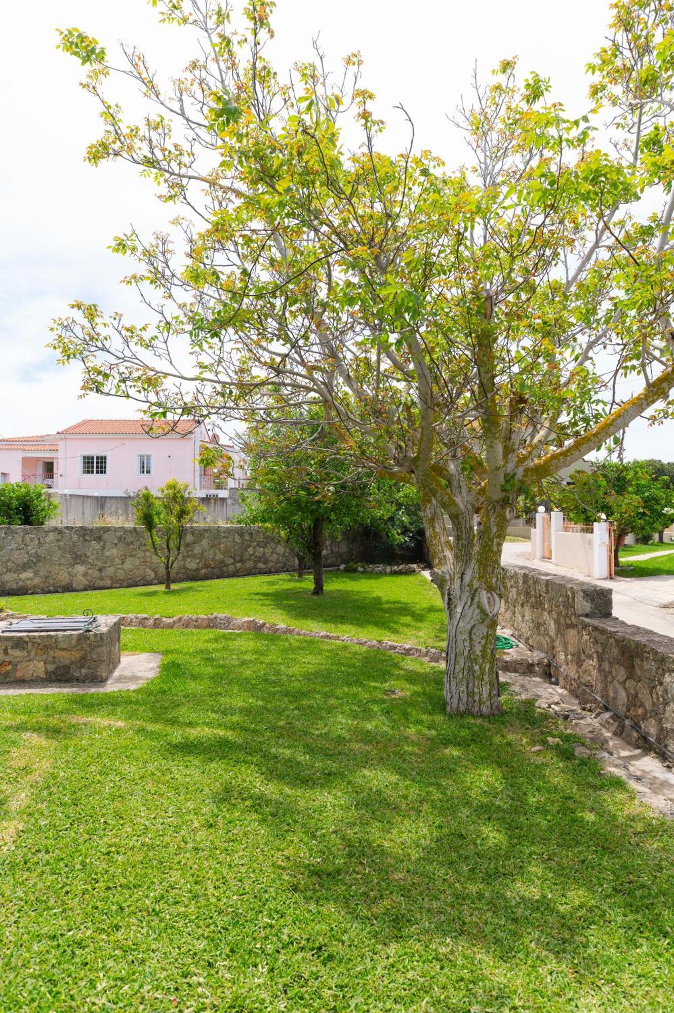 Vasilopoulos Residences - Apartments Ioni & Neso Argostoli  Eksteriør bilde